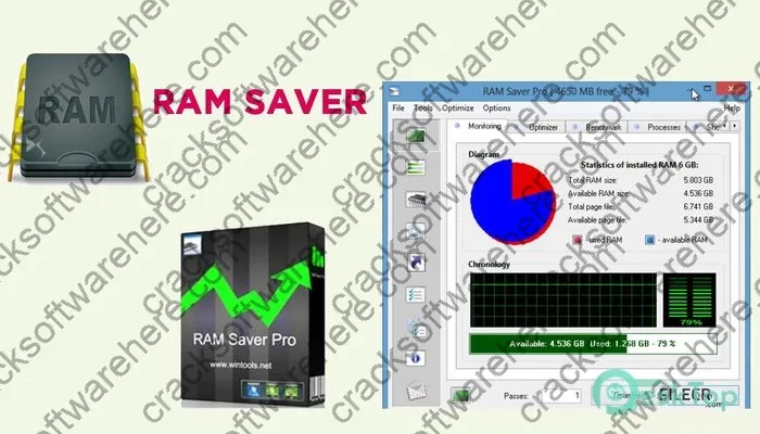 Ram Saver Professional Serial key