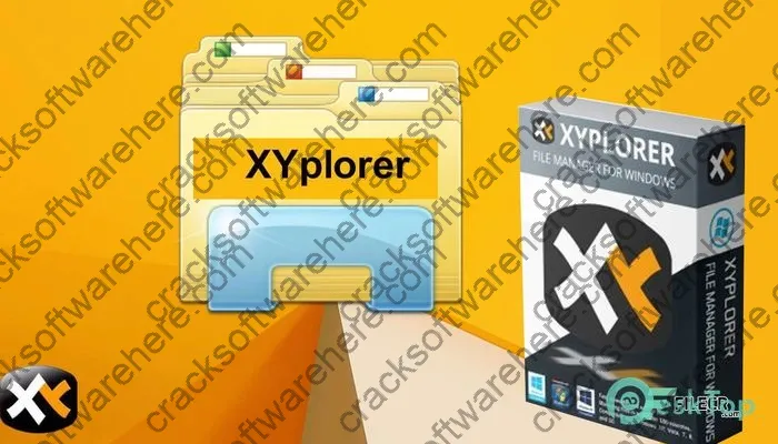 Xyplorer Crack 25.90.0100 Free Download